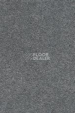 Ковролин AW Vivendi Punch 75 фото 1 | FLOORDEALER